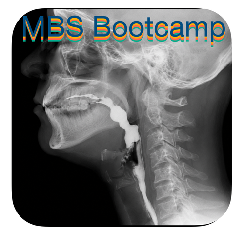 Original Swallowing Wellness Live Virtual MBS Bootcamp artwork