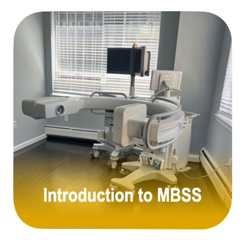 Original Introduction to MBSS course artwork
