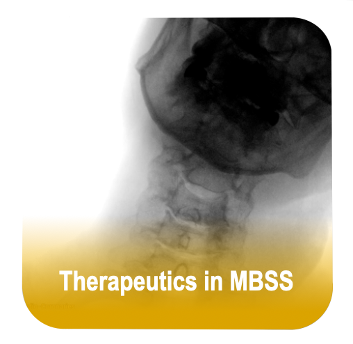 Original Therapeutics in MBSS course artwork